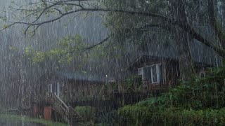 Sonido de Lluvia Relajante para Dormir Profundamente  Lluvia y Truenos en Bosque Neblinoso [upl. by Nileak]