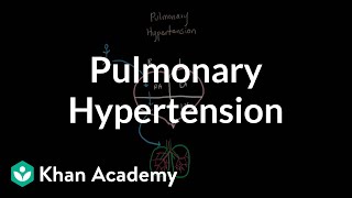 What is pulmonary hypertension  Respiratory system diseases  NCLEXRN  Khan Academy [upl. by Kinna]