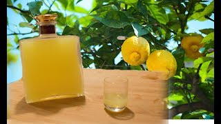 Homemade Limoncello  Italian lemon liqueur recipe [upl. by Sedinoel]