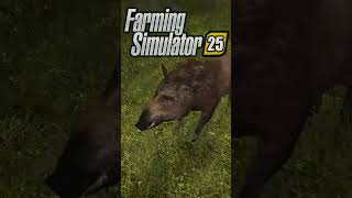 KOZY W FARMING SIMULATOR 25 [upl. by Hulbert206]