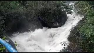 Tromba d’ água em Itatiaia [upl. by Alyakim]