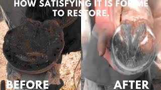 Asmr Super Clean Hoof TrimTutorial Complete Restoration Trimming Overgrown Hooves [upl. by Eiramenna]