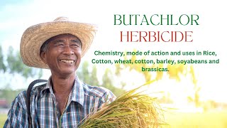 Understanding Butachlor Chemistry Mode of Action and Uses  Rice Herbicide [upl. by Lolly766]