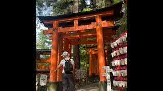 The Surprising Tranquility of Fushimi Inari Shrine [upl. by Simonetta]