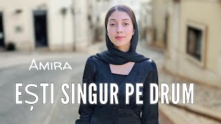 Amira din BarbulestiESTI SINGUR PE DRUM [upl. by Yntirb]