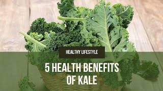 5 Health Benefits Of Kale  Why Kale Is Superfood  Health Lifestyle [upl. by Niatsirhc]