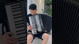 Mantovanelli Accordion 120bass KING Cassotto IV [upl. by Alage726]