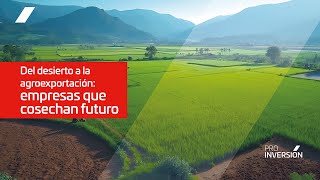 Del desierto a la agroexportación empresas que cosechan futuro [upl. by Falito]