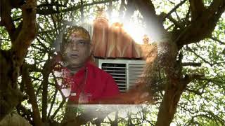 SHRI KELIMAL JIShri Swami Haridas ji Bhav by GIRISHANAND JI With JSR madhukar ji [upl. by Ransom]