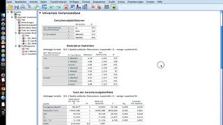 038 Zweifaktorielle Varianzanalyse in SPSS [upl. by Leon]