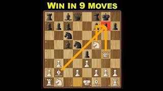 NimzoLarsen Trap Chess Opening Tricks to WIN FAST Shorts  Chess World [upl. by Dnaletak]