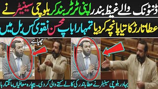 Balouchi Senator Vs Dentonic ڈنٹونک اپنی ٹر ٹر بند کر بلوچی سینیٹر نے عطا تارڑ کی چھترول کر دی ۔۔ [upl. by Luise]