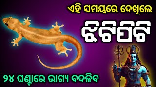 🔴 Jhitipiti ଝିଟିପିଟି ଶୁଭ ସଂକେତ  jhitipiti subha asubha sanketa  Sadhu Bani  Ajira Anuchinta [upl. by Ru]