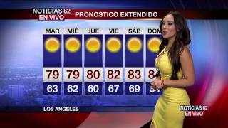 Gisselle Bravo 20150714 Noticias 62 Los Angeles HD [upl. by Pellikka314]