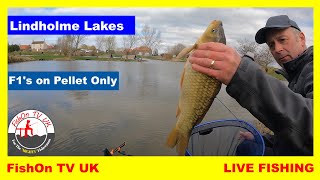 FishOn TV UK  PELLETS amp F1s ON WILLOWS  LINDHOLME LAKES  LIVE FISHING [upl. by Chak]