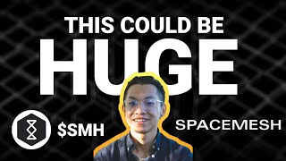 Why You Should NOT Ignore Spacemesh [upl. by Twelve]