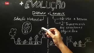 Darwin e Lamarck  EVOLUÇÃO  Resumo Completo [upl. by Watanabe]