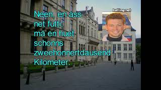 Best Luxembourgish language learning video [upl. by Rask850]