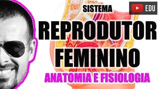 Sistema Reprodutor Feminino  Aparelho Reprodutor  Anatomia Humana  VideoAula 048 [upl. by Novel352]