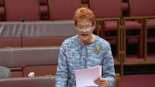 Senator Pauline Hansons Powerful Speech Calling Out Political Islams Threat to Australia [upl. by Sanson]