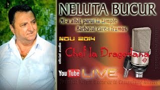 NELUTA BUCUR  Mia albit parul la tample  Barbatul carei frumos live audio [upl. by Enaasiali]