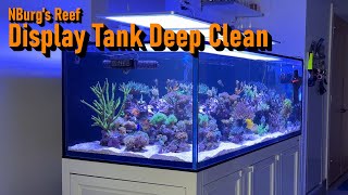 How I make My Reef Tank Look Super Clean [upl. by O'Doneven]