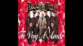 MUSICALISMO FUEGO INDIO TE VOY A AMAR [upl. by Kery]