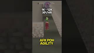 AFK Agility Methods OSRS [upl. by Xirdnek]