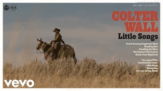 Colter Wall  For a Long While Audio [upl. by Damarra]