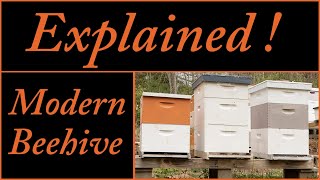 Most Versatile Beehive  Langstroth [upl. by Shiff]