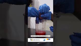 Grade 10 extract DNA from fruits [upl. by Three]