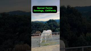 Garrod Farm Saratoga California [upl. by Aissatan944]