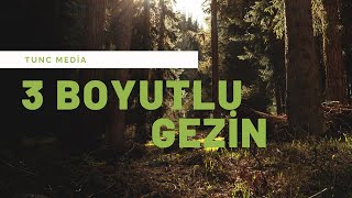 Doğada 3 Boyutlu Gezin Ve Rahatlayın 4K HD ve 3D Ses [upl. by Lorilee327]