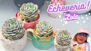 COMO CUIDO LA SUCULENTA ECHEVERIA LOLA 💞❔ [upl. by Enyawud569]