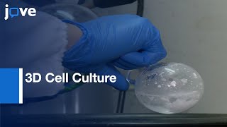 Preparation ChitosanBased Injectable Hydrogels amp Application3D Cell Culture l Protocol Preview [upl. by Yngad]