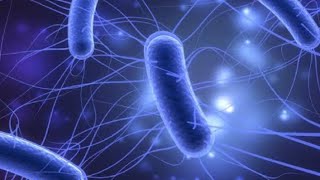 ESCHERICHIA COLI  MICROBIOLOGY [upl. by Melia]