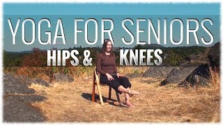 Yoga for Seniors with Michelle Rubin Hips amp Knees [upl. by Akcemat208]