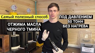 Масло черного тмина польза Холодный отжим масла черного тмина Производство масла в бочонке [upl. by April]