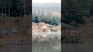 Beautiful spring day at Yufuin まだ戻りたい yufuin japan travel lake hotspring [upl. by Norm]