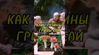 АНЕКДОТ 🍄 КАК ГРУЗИНЫ ГРИБЫ ЕЛИ [upl. by Yessydo]