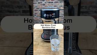 How To Get Hot Water On The Bambino Plus shorts coffee [upl. by Idet409]