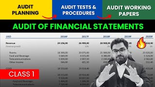 Audit of Financial Statements  Audit Procedures  Audit Working Papers in excel [upl. by Sunil162]