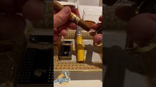 Cohiba Siglo II with Hennessy Paradis [upl. by Annaid31]