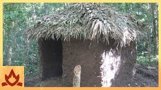 Primitive Technology Palm Thatched Mud Hut [upl. by Nosral]