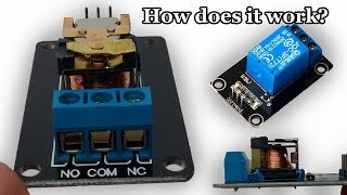 Inside of a SRD05VDCSLC And How a Relay Works [upl. by Man641]