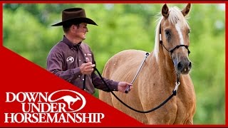 Clinton Anderson Training a Rescue Horse Part 3  Downunder Horsemanship [upl. by Reizarf]