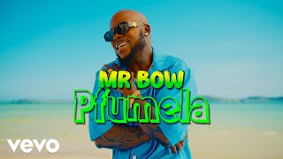 Mr Bow  Pfumela Official Music Video [upl. by Arrac]