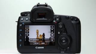 Canon EOS 5D Mark IV Live View AF [upl. by Anayrb452]