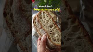 3 നേരം കഴിച്ചാലും സൂപ്പർ അവോക്കാഡോ ടോസ്റ്റ്  Avocado Toast Recipe  Weightloss Breakfast Recipes [upl. by Kristoforo]