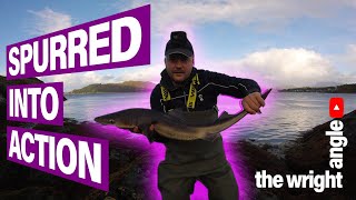 Shore Fishing uk Near Oban Argyll for Spurdog [upl. by Calmas61]